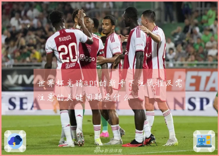 世界杯竞猜app的新手下注流程及需注意的关键问题是什么