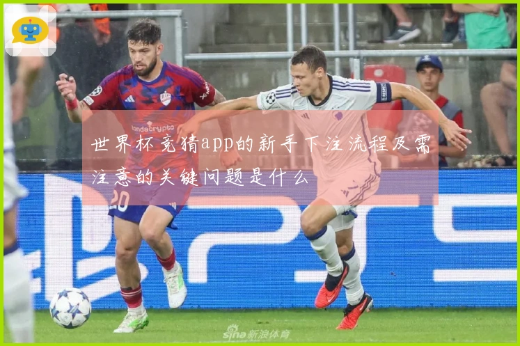 世界杯竞猜app的新手下注流程及需注意的关键问题是什么